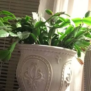 Meet your Posher, Mary ann